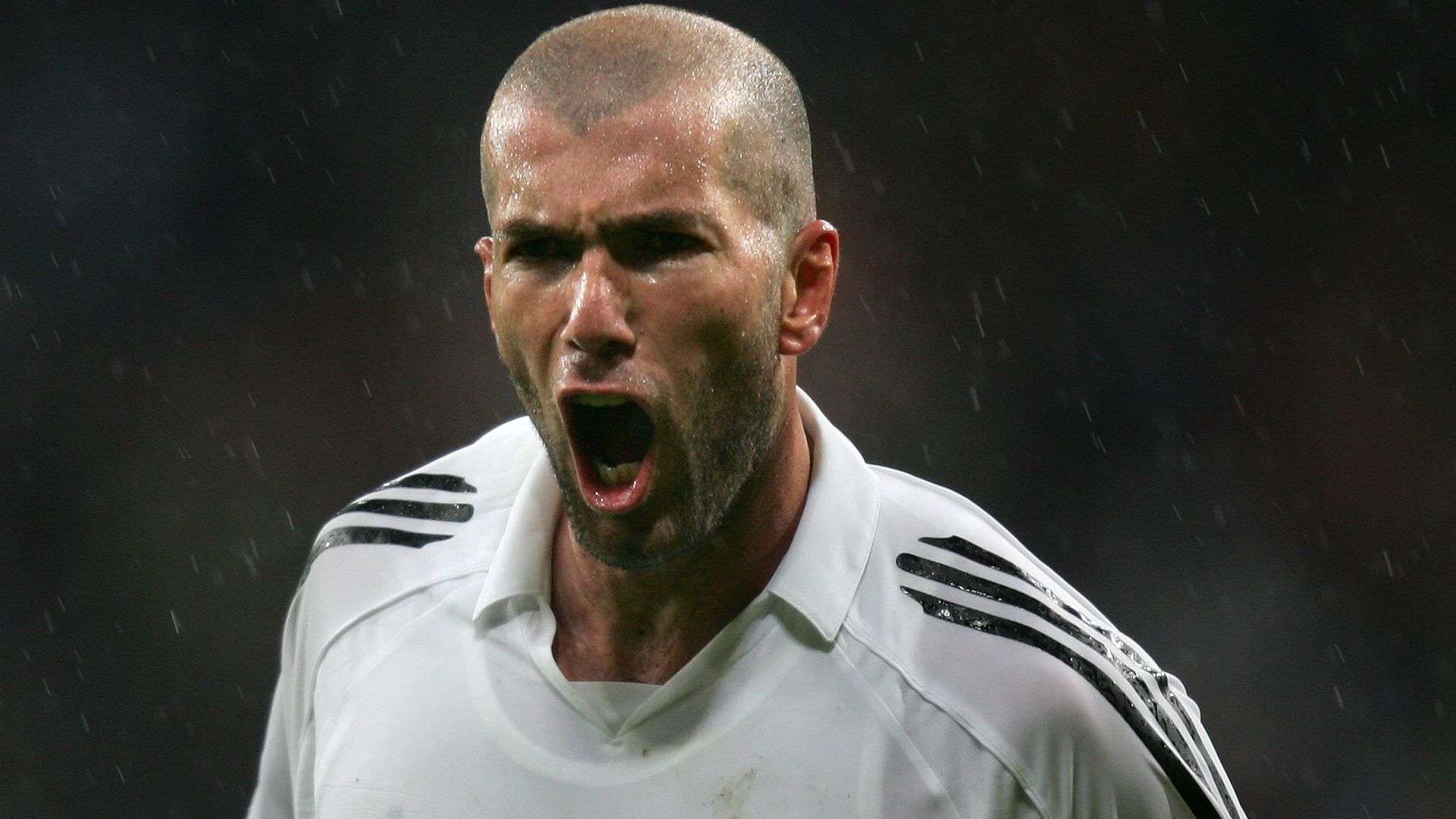 厚的大型赛 厚的大型赛